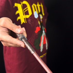 Potter's T-shirt & Wand - Combo - Image 2